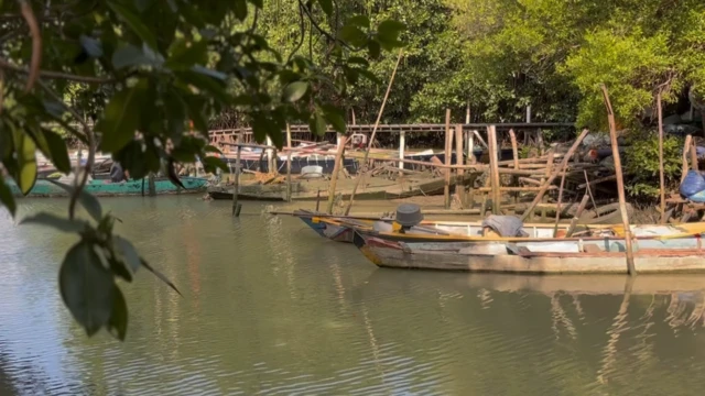pantura, pantai utara jawa, tenggelam, PSN, KEK, industri