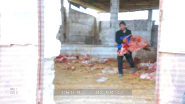 эшак суяклари