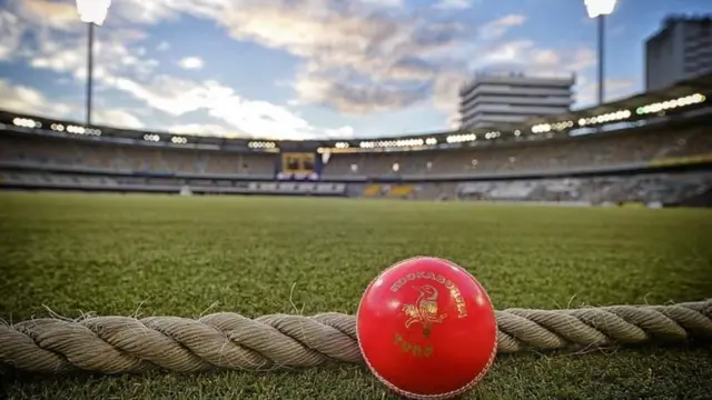 पिंक बॉल