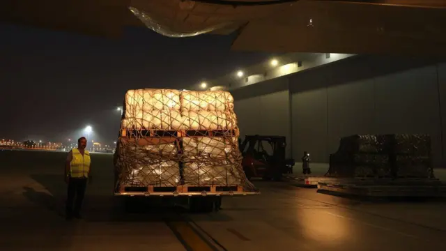 ወደ ጋዛ ለመላክ ግብፅ ውስጥ ከአውሮፕላን እየተራገፈ ያለ እርዳታ 