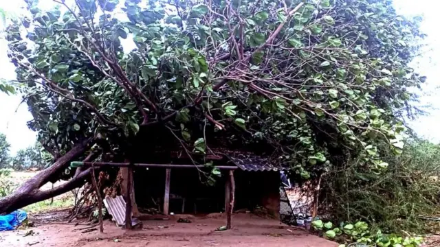 બિપરજોય વાવાઝોડું