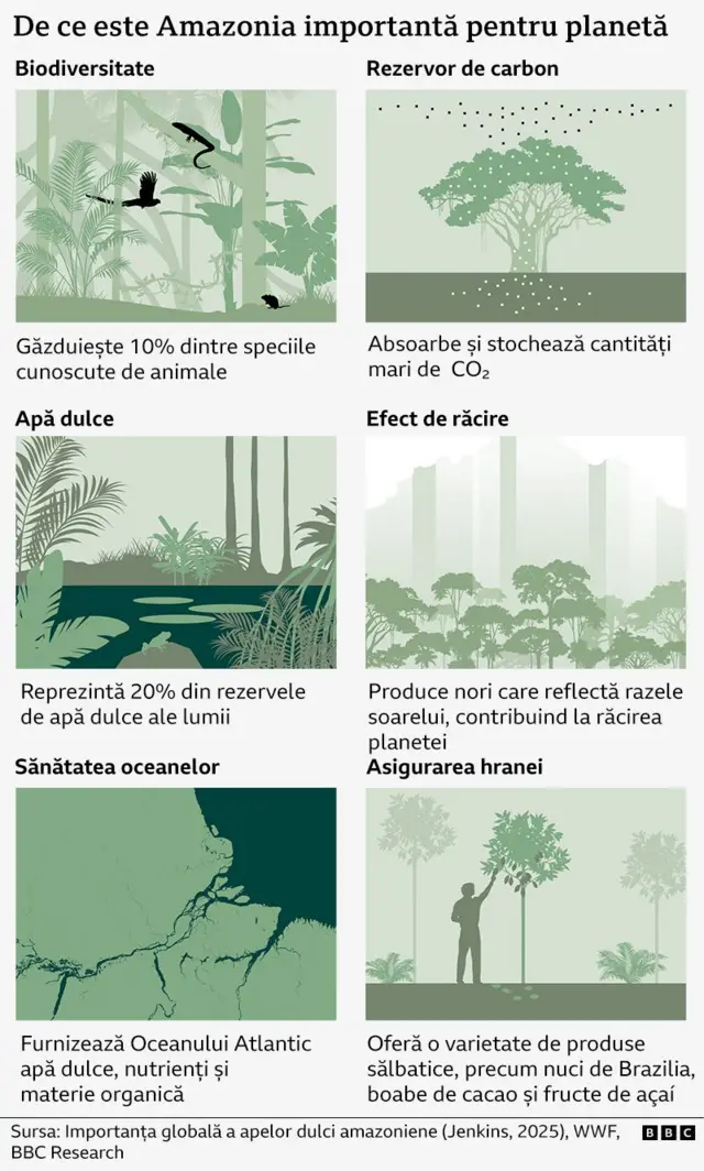 Infografic ce prezintă un sumar al motivelor pentru care Amazonia contează pentru omenire.