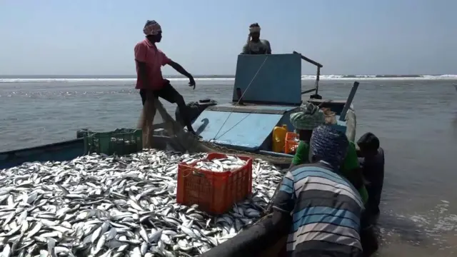 మత్స్యకారులు