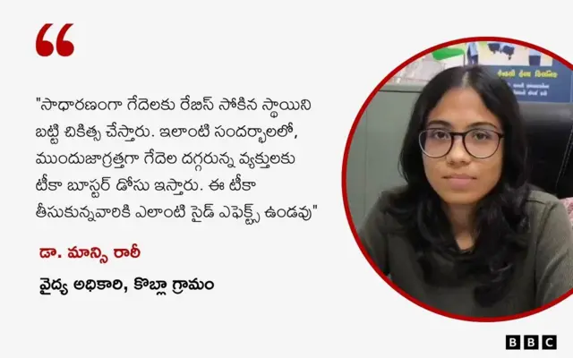 గుజరాత్, వైరస్