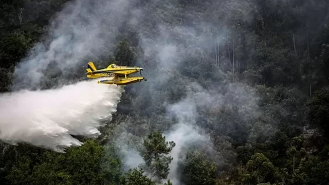 Португалияда өрт коркунучунун эң жогорку деңгээли жарыяланды
