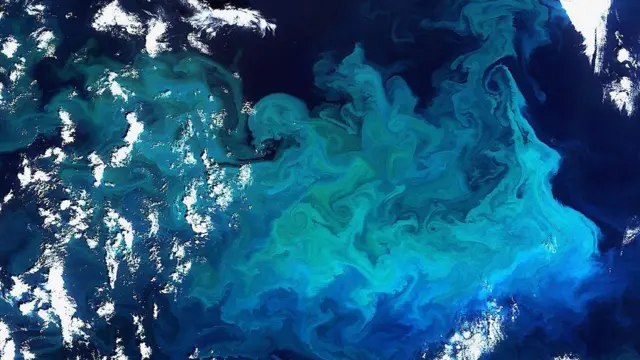 సముద్రం