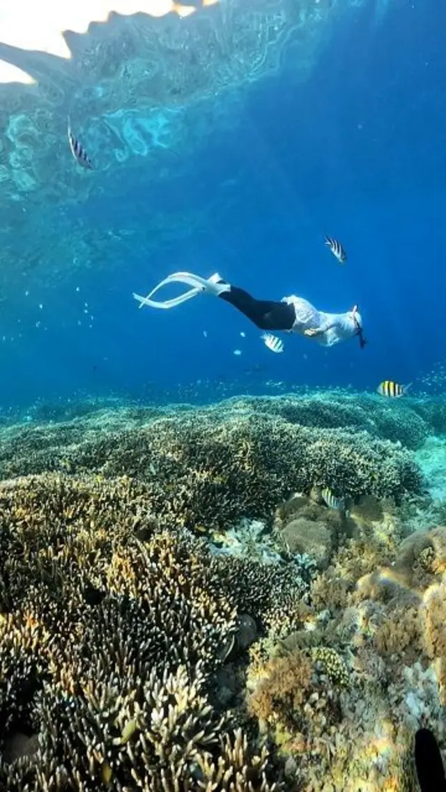 Raras penyuka selam bebas sudah mengunjungi 30 provinsi di Indonesia untuk melihat keindahan laut. 