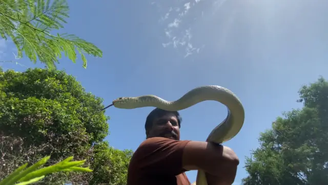 பாம்பு பிடிக்கு தந்தை மகள்