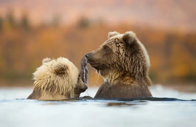 ‘ጥምቀተ ድቢ’