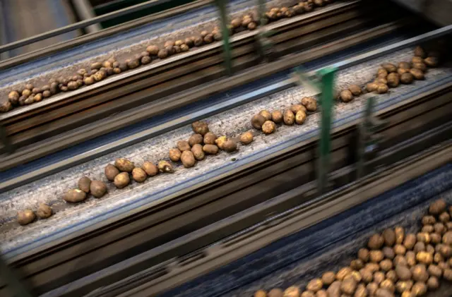 બીબીસી ગુજરાતી બનાસકાંઠા બટાટા ફ્રેન્ચ ફ્રાઈઝ ગુજરાત ખેડૂત ખેતી ચિપ્સ