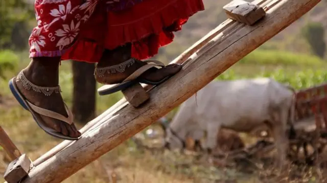 இரவு நேரங்களில் கரும்புகளை ஒன்றுசேர்த்து கட்டி லாரிகளில் ஏற்றுவார்கள். 