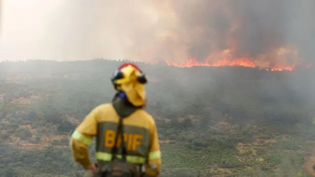 Пожарный наблюдает за лесным пожаром, Испания, 24 августа 2025 года