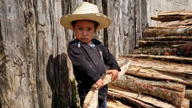 anak di meksiko membawa kayu bakar