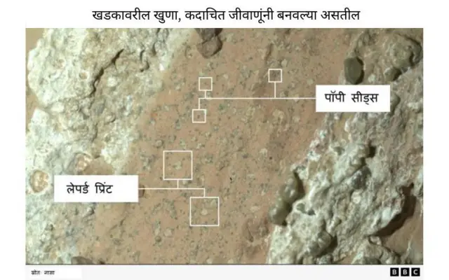 ग्राफिक