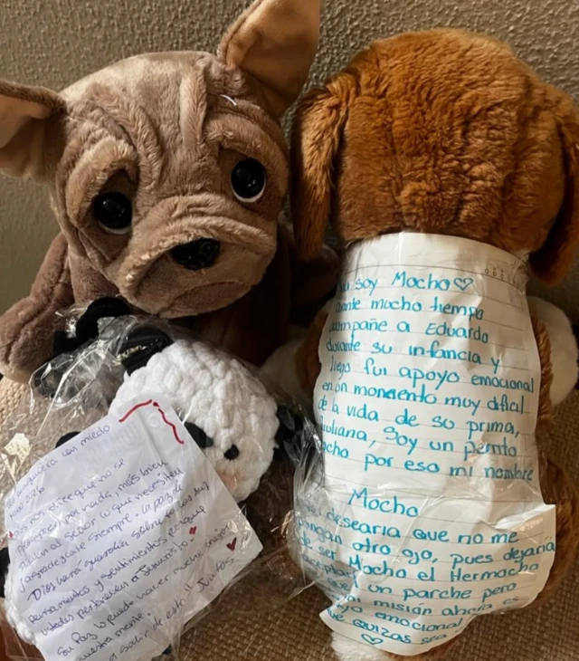 Peluches con cartas