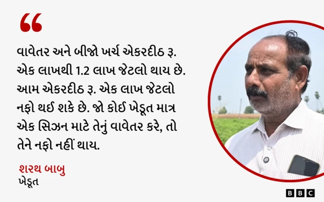 મીઠા લિમડાની ખેતી, ખેડૂત , બીબીસી ગુજરાતી