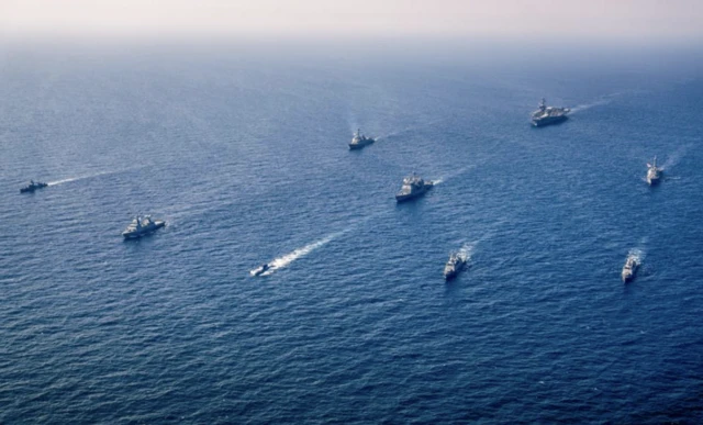 مانور دریایی