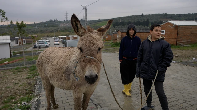 eşek ve hasan ile hüseyin 