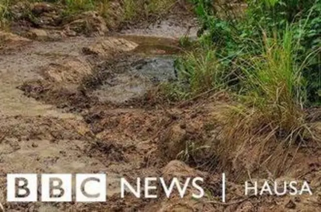 Filin da aka tsara za a gina tashar wuta ta Mambilla.