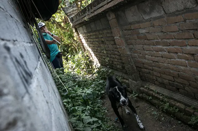 Virus rabies menyebar di NTT