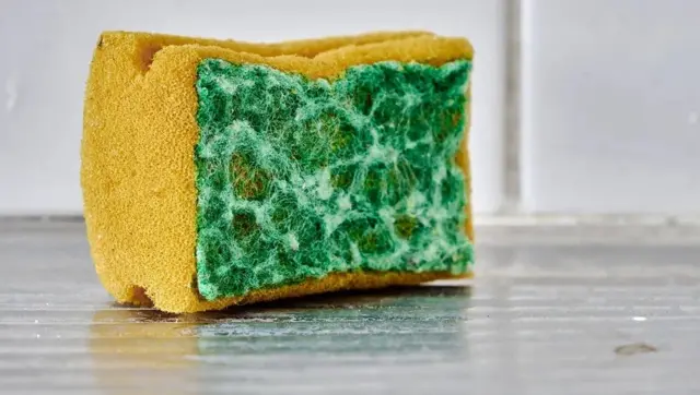Les trous et les fibres effilochées de votre éponge de cuisine sont des endroits où les microbes peuvent se cacher et se multiplier.