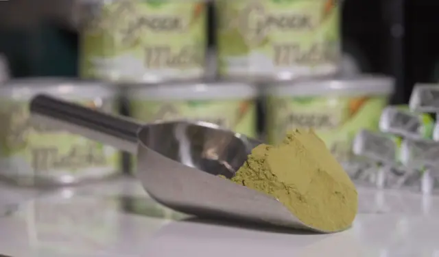Foto fokus pada esendok matcha hasil produksi pabrik milik Rizal, sementara bagian belakangnya tampang samar-samar tumpukan produk matcha dalam kaleng kecil.