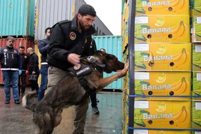 Mersin'de binlerce kilogram kokainin ele geçirildiği bir polis operasyonu