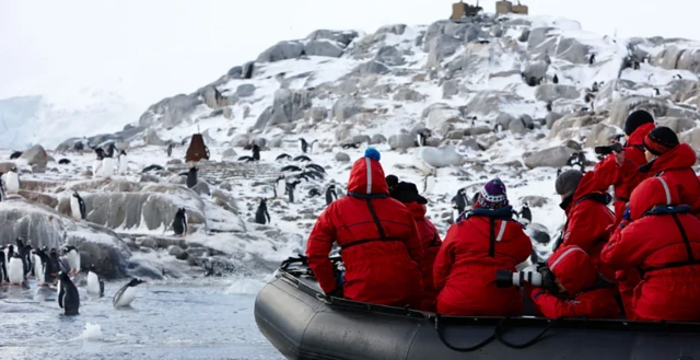 صورة تظهر سائحين، يرتدون معاطف حمراء ثقيلة، يستقلون قارباً فيما يبدو أنه نهر جليدي في القارة القطبية الجنوبية وأمامهم مجموعات من حيوان البطريق تقف أمام القارب.