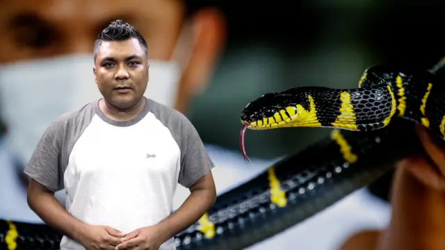 सर्पदंशको उपचार गर्ने औषधिबारे।