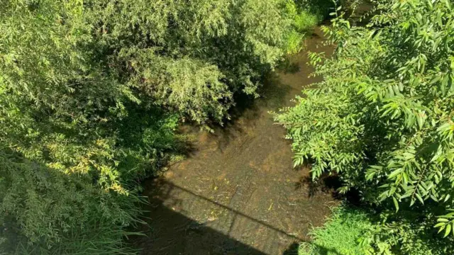 reka na čijem dnu se vidi crni mulj