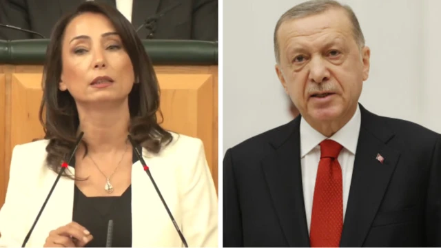 Hatimoğulları ve Erdoğan