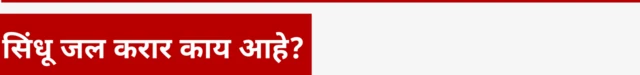 ग्राफिक्स
