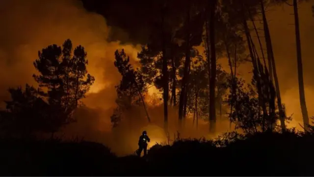 यावर्षी स्पेनमधील जंगलांमध्ये भीषण आग लागली होती आणि तज्ज्ञांचं म्हणणं आहे की भविष्यात युरोपात आग लागण्याच्या अशा घटना अधिक वेळा आणि अधिक भीषण स्वरूपात होऊ शकतात