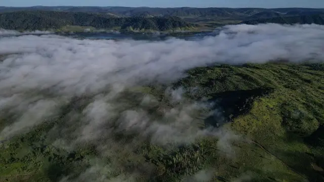  అమెజాన్ అడవులు, పర్యావరణం, కార్బన్ డై ఆక్సైడ్, వాతావరణం