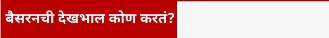 कार्ड