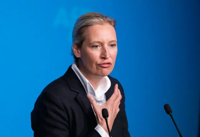 Lider del partido Alice Weidel