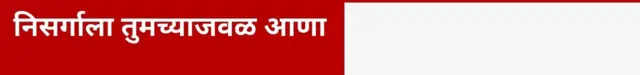 निसर्गाला तुमच्याजवळ आणा