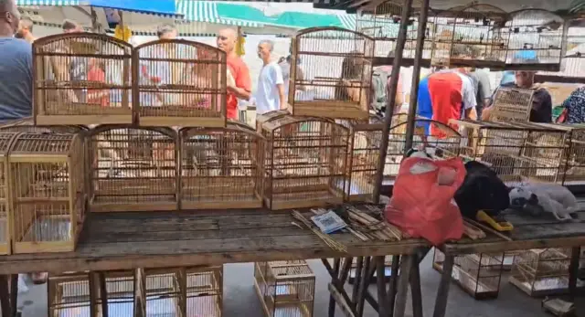 Gaiolas de pássaros em estante na feira de Duque de Caxias