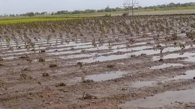 પશુ પાલકો સાથે નર્મદા નદીના પૂરના પાણીએ જિલ્લાના અનેક ખેડૂતોનું જીવન પણ બદલી નાખ્યું છે