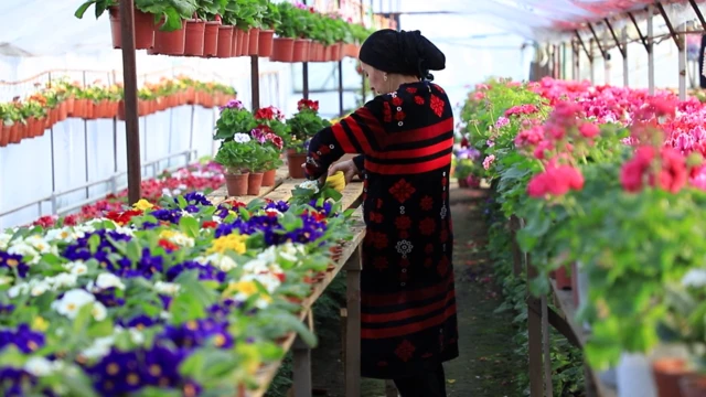 Илхомбек Салиевдин ишканасы