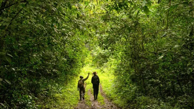 ጥናቱ አዳዲስ የመድኃኒት እጽዋትን ሊያስገኝ ይችላል ብለዋል