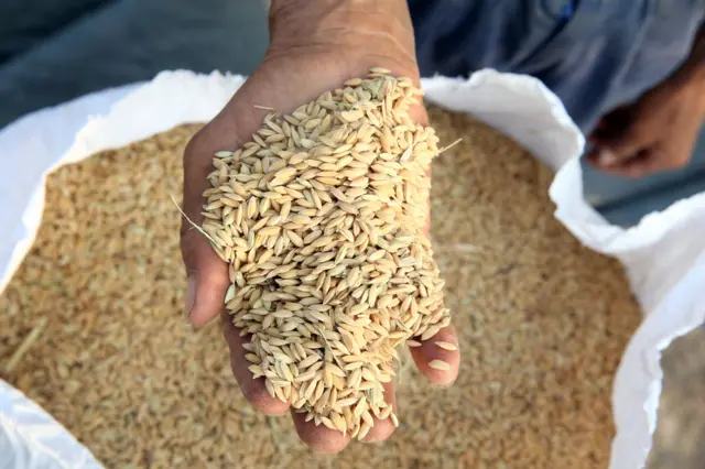 புதிய அரிசியை விட பழைய புழுங்கல் அரிசி ஏன் விலை அதிகம்?