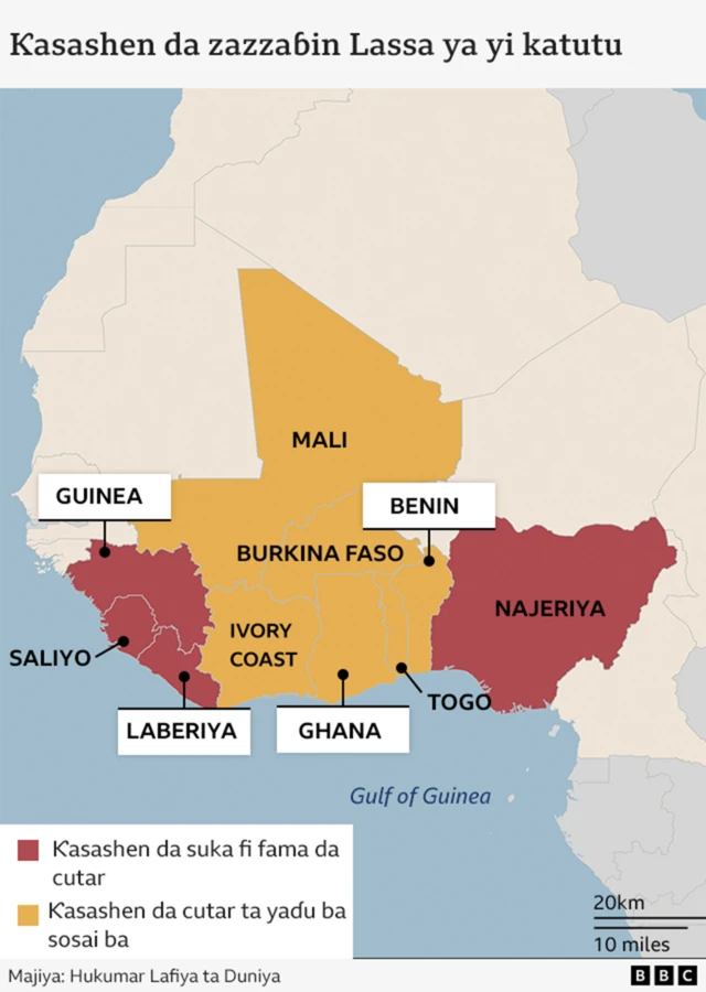 Kwararru sun ce ana samun yaɗuwar cutar ce a baya-bayan nan sakamakon sauyin yanayi da cunkoson al'umma wuri guda da kuma mu'amalar ɗan'adam da ɓerayen da ke ɗauke da nau'in cutar.