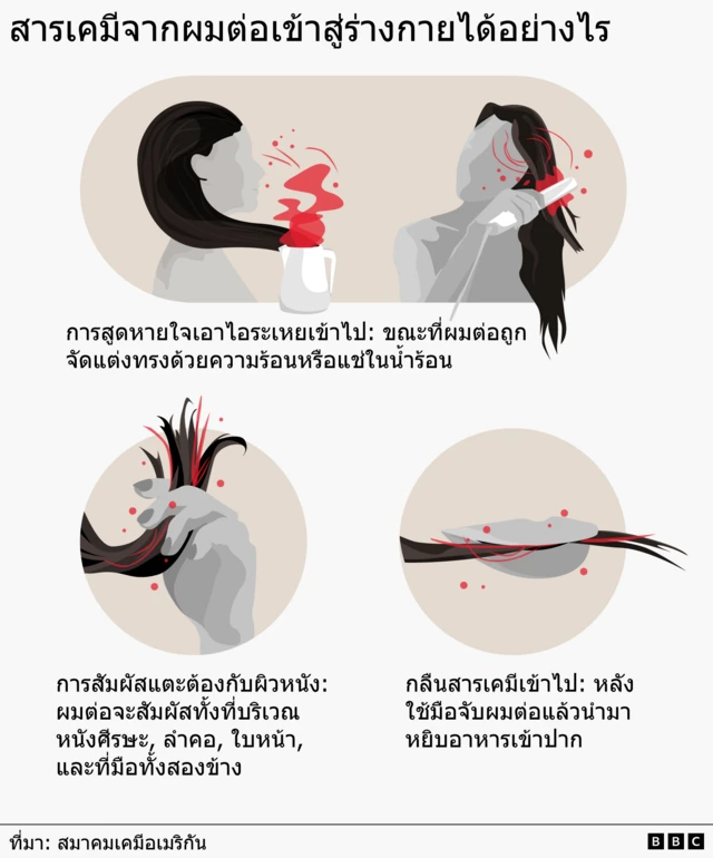 แผนภาพซึ่งอธิบายว่าสารเคมีจากผมต่อเข้าสู่ร่างกายได้ 3 วิธี ได้แก่ 1) สูดหายใจเอาไอระเหยเข้าไป ขณะที่ผมต่อถูกจัดแต่งทรงด้วยความร้อนหรือแช่ในน้ำร้อน 2) การสัมผัสแตะต้องกับผิวหนัง ทั้งที่บริเวณหนังศีรษะ, ลำคอ, ใบหน้า, และที่มือทั้งสองข้าง 3) กลืนสารเคมีเข้าไป หลังใช้มือจับผมต่อแล้วนำมาหยิบอาหารเข้าปาก หรือได้รับจากการกัดหรืออมผมต่อไว้ในปาก