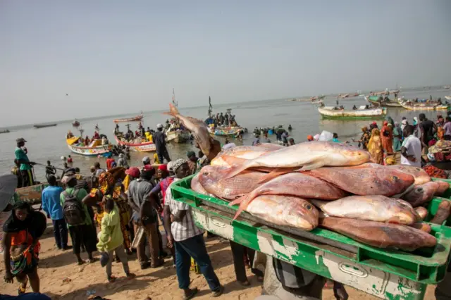 Débarquement de poissons au quai de pêche de Mbour, au sud de Dakar, la capitale (illustration).