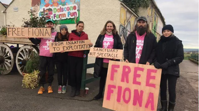 యానిమల్ రైజింగ్ 