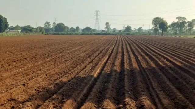 प्रातिनिधिक फोटो