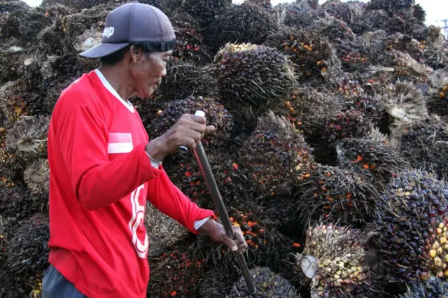 Pekerja memindahkan tandan buah segar sawit yang dibeli dari petani di tempat jual beli tanda buah segar (RAM) di Desa Purnama Dumai, Riau, Rabu (13/5/2026).