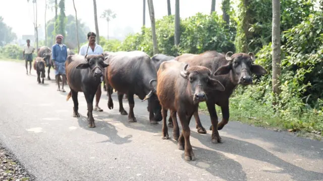 తర్లువాడ, విశాఖపట్నం, ఆంధ్రప్రదేశ్, గూగుల్ డేటా సెంటర్
