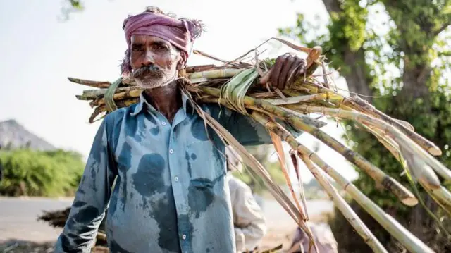 ஊரக உள்ளாட்சி பஞ்சாயத்து 100 நாள் வேலை